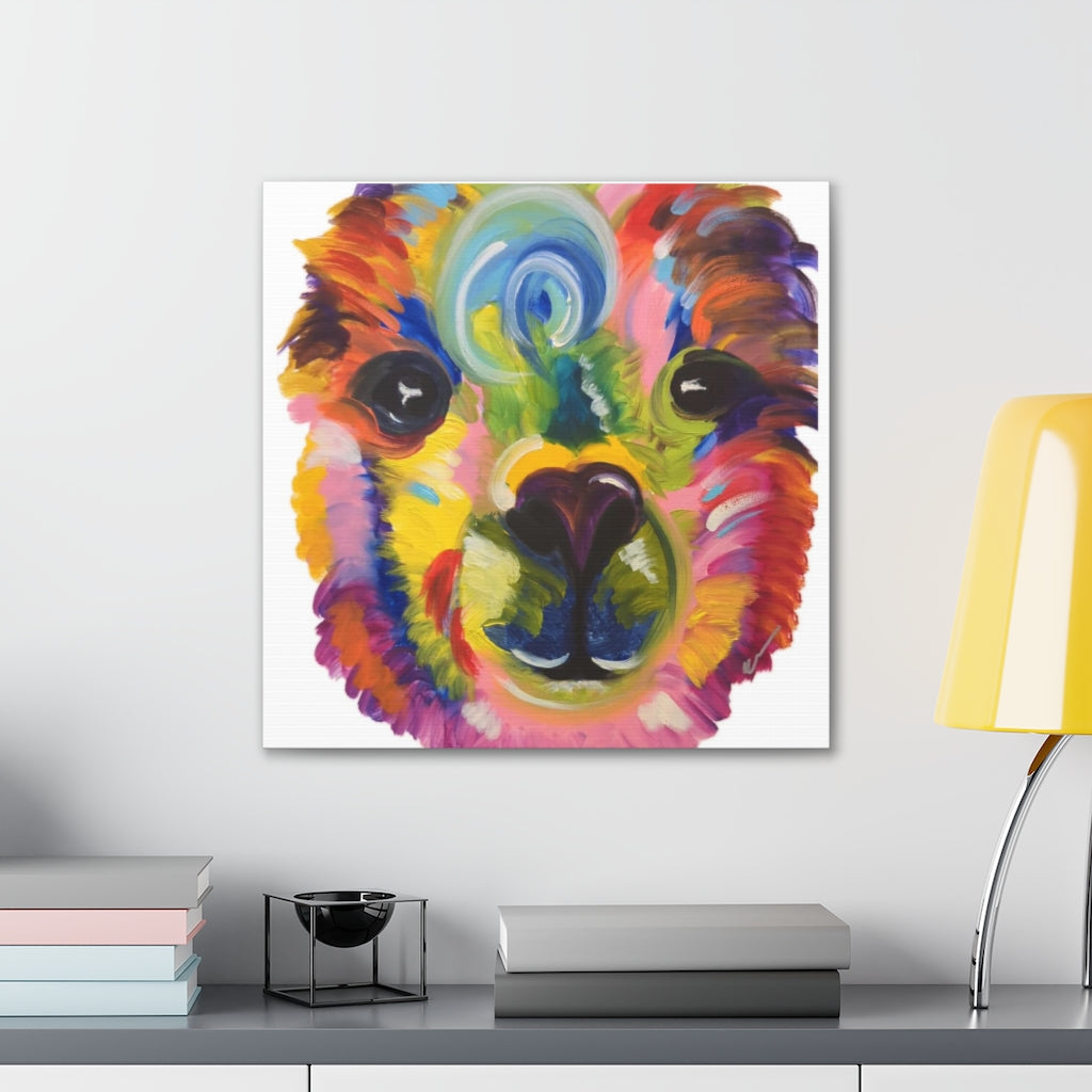 Pop Llama Canvas Gallery Wraps