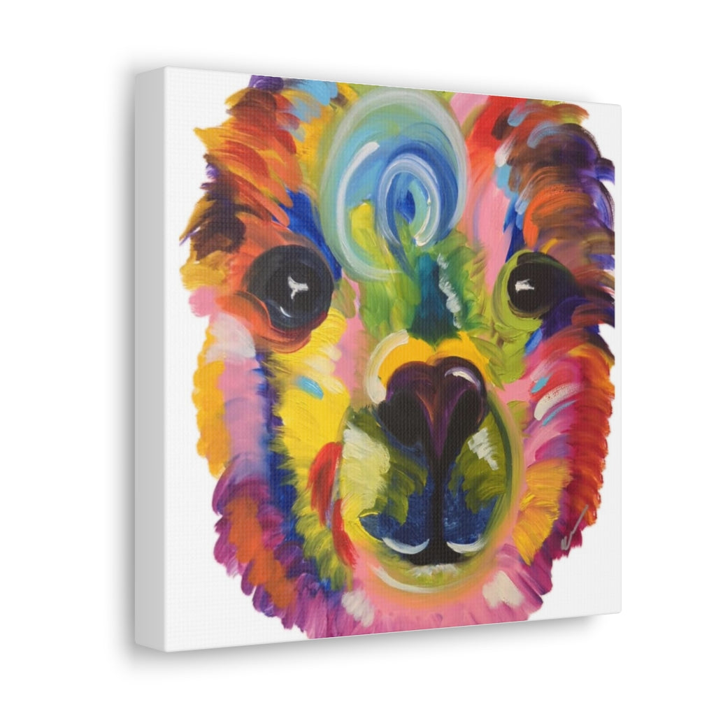 Pop Llama Canvas Gallery Wraps