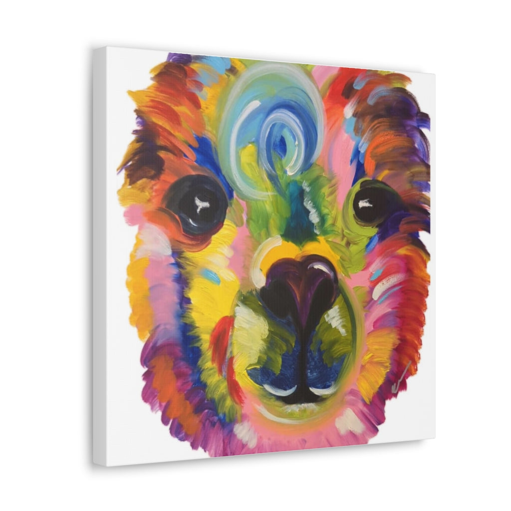 Pop Llama Canvas Gallery Wraps