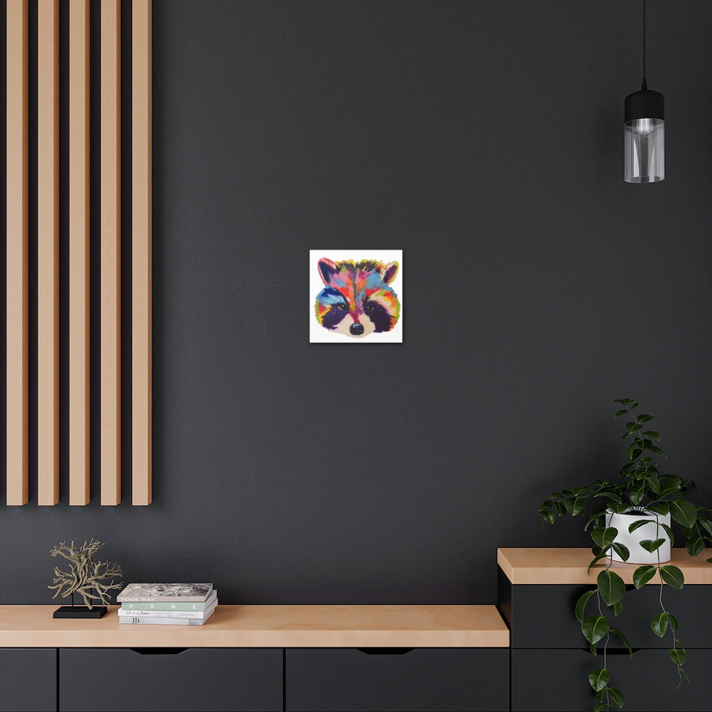 Pop Raccoon Canvas Gallery Wraps